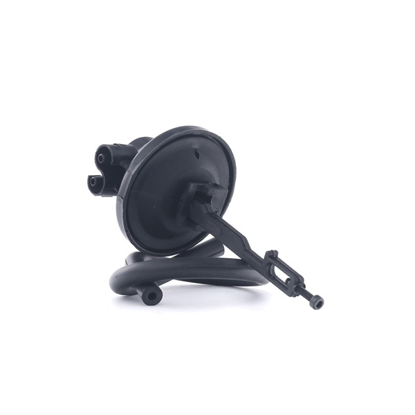 AUTOMEGA 130053110: Camera vacuumatica, carburator