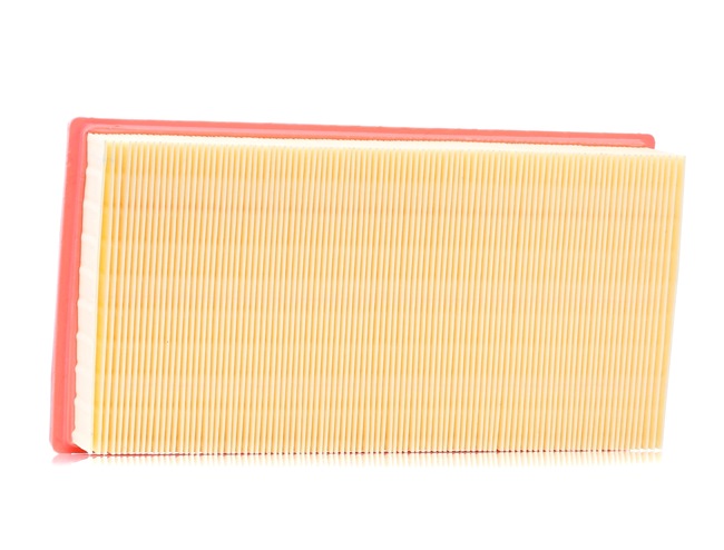 AUTOMEGA 180024210: Gaisa filtrs