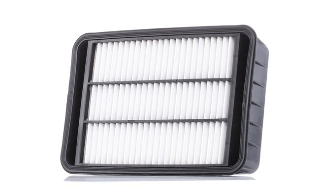 AUTOMEGA 180034710: Filtro aria