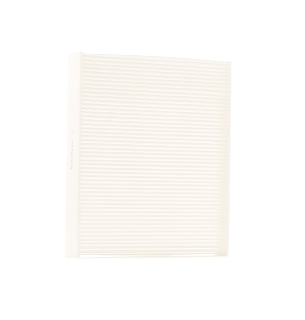 AUTOMEGA 180050810: Filtrs, Salona telpas gaiss Daļiņu filtrs