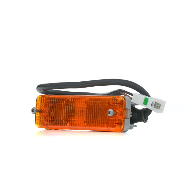 HELLA 2BA 002 939-171: Blinker vorne links, vorne rechts, mit Lampenträger, ohne Glühlampe