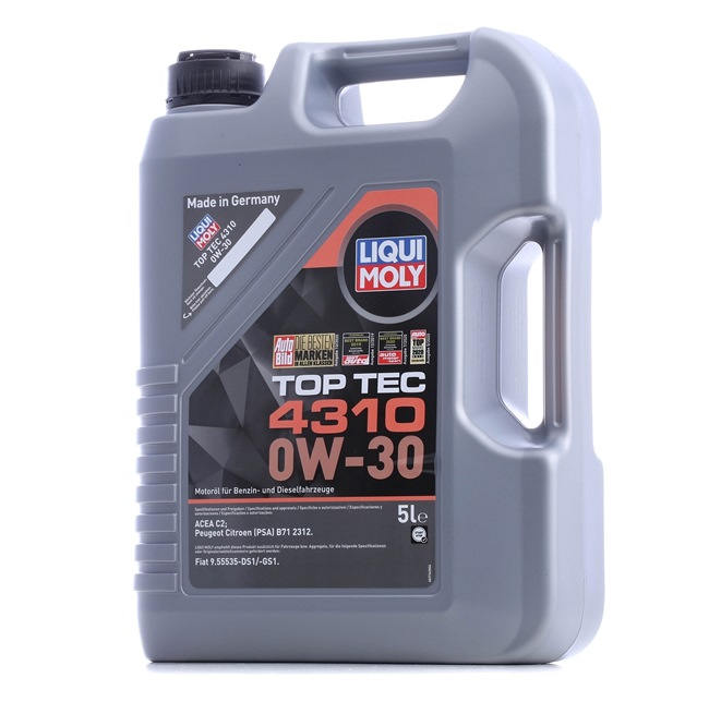LIQUI MOLY Top Tec, 4310 2362 Motoröl FIAT PUNTO (199) 90 PS Diesel Kosten