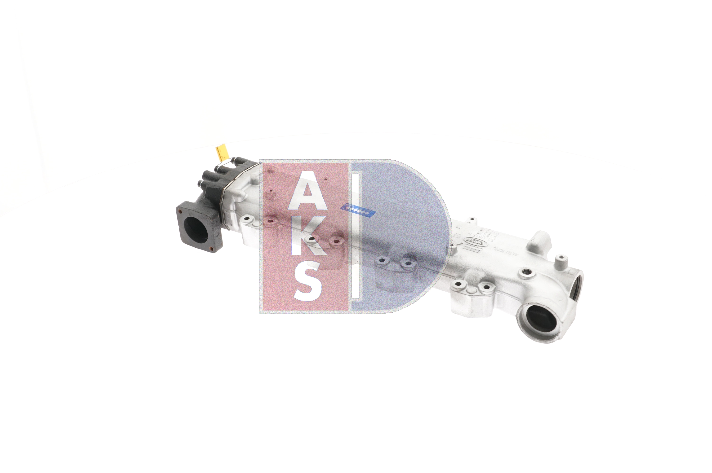 AKS DASIS 260038T: Modul-EGR