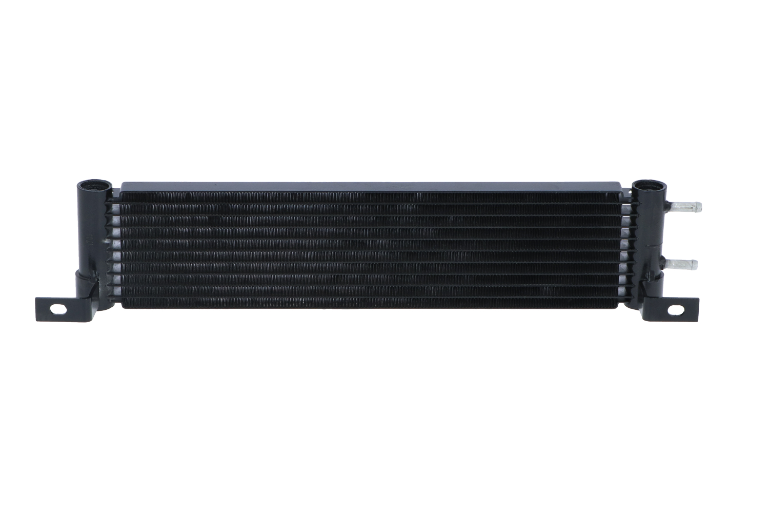 NRF 31359: Radiator ulei, ulei motor