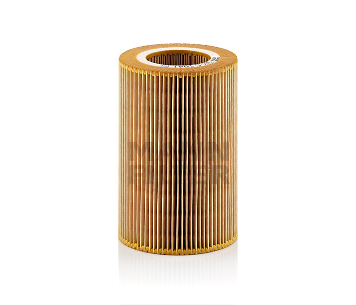 MANN-FILTER C 1041: Gaisa filtrs