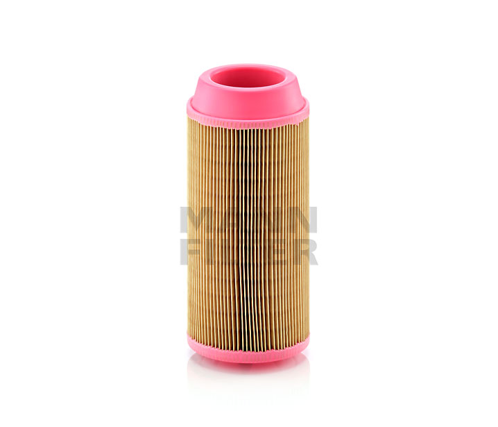 MANN-FILTER C 11 100: Filtru aer EUROPICLON
