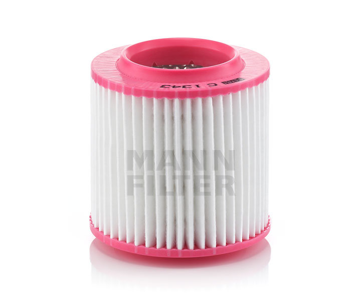 MANN-FILTER C 1343: Filtro aria