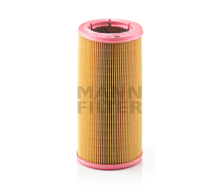 MANN-FILTER C 1394/1 Luchtfilter RENAULT CLIO 2 (BB0/1/2, CB0/1/2) 172 Pk Benzine kosten