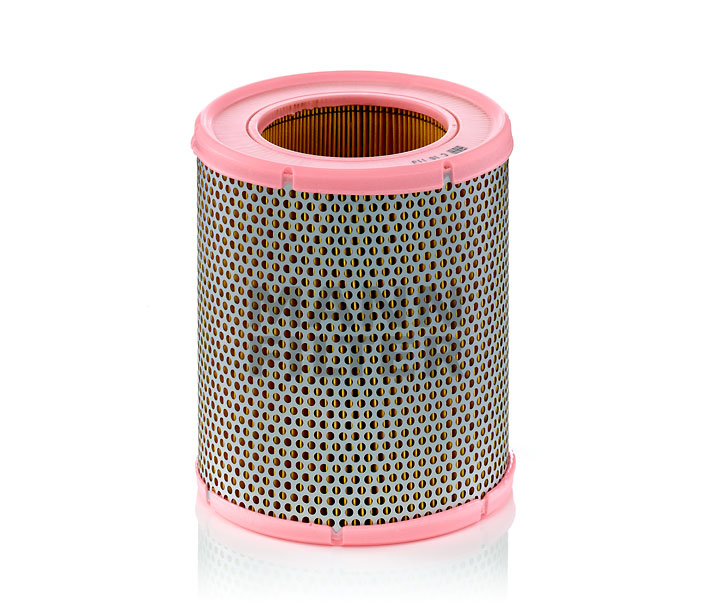 MANN-FILTER C 16 113: Filtro aria