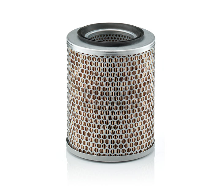 MANN-FILTER C 17 134: Filtru aer