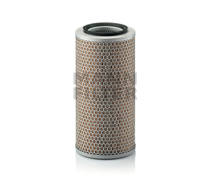 MANN-FILTER C 17 250: Filtro aria