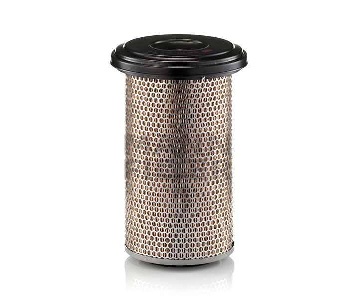 MANN-FILTER C 20 325: Filtro aria