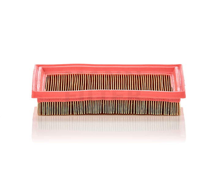 MANN-FILTER C 2244: Õhufilter