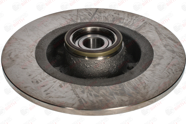 BIRTH 3487: Disco de freno Eje trasero izquierda, Eje trasero, derecha, Ø: 274mm, macizo, Ø: 274mm