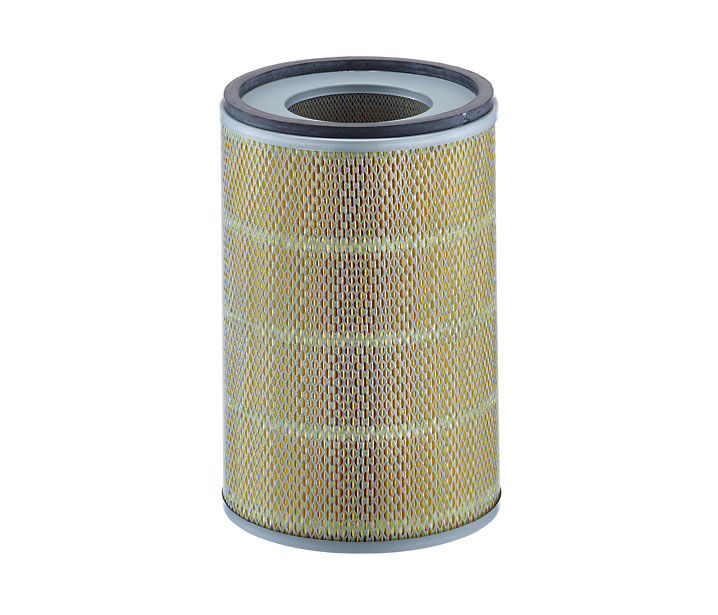 MANN-FILTER C 24 719: Filtre à air