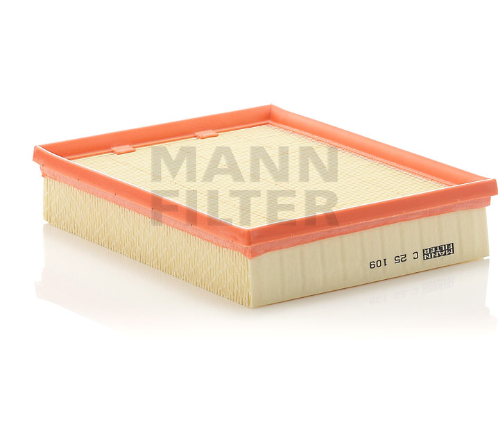 MANN-FILTER C 25 109 Filtr powietrza RENAULT LAGUNA 3 (BT0/1) 140 KM Benzyna / etanol koszt
