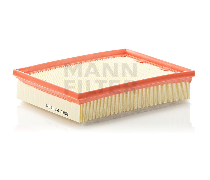 MANN-FILTER C 25 109/1: Filtru aer