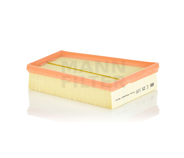 MANN-FILTER C 25 115: Filtro aria