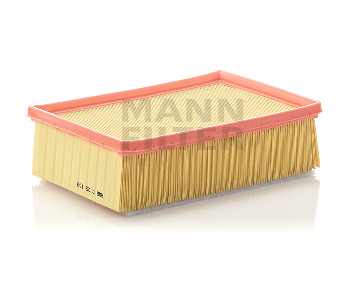 MANN-FILTER C 25 136 Luftfilter