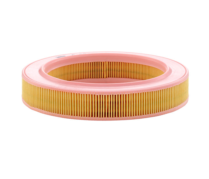 MANN-FILTER C 2540: Gaisa filtrs