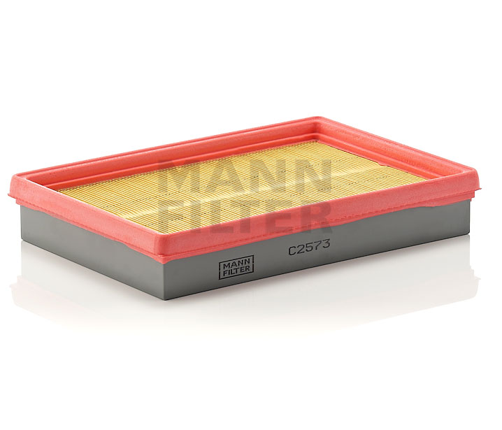 MANN-FILTER C 2573: Filtro aria