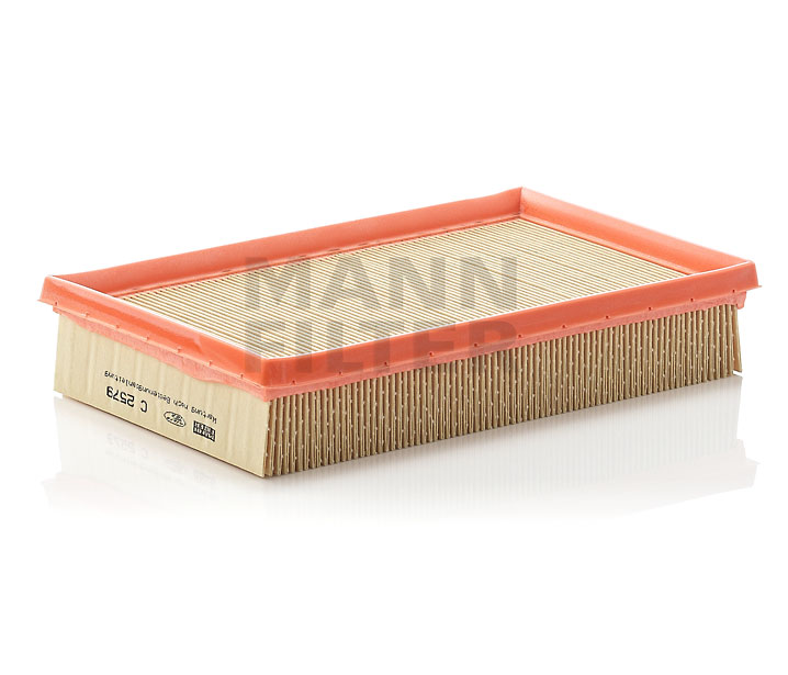 MANN-FILTER C 2579: Gaisa filtrs