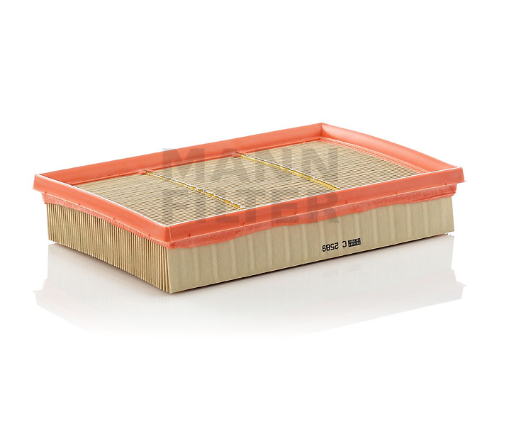 MANN-FILTER C 2589: Gaisa filtrs