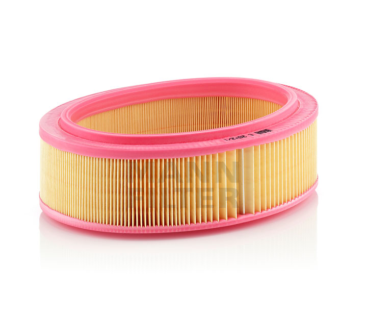 MANN-FILTER C 2672/1 Luchtfilter RENAULT CLIO 2 (BB0/1/2, CB0/1/2) 172 Pk Benzine kosten