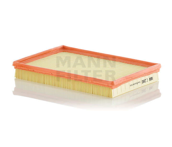 MANN-FILTER C 2880: Gaisa filtrs