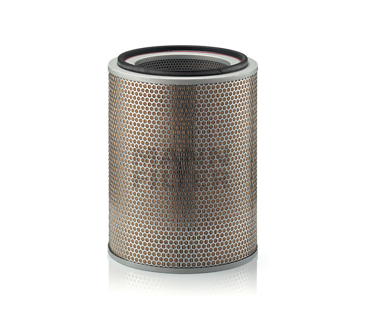 MANN-FILTER C 31 1256: Filtru aer
