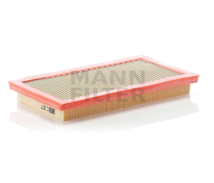MANN-FILTER C 3177: Gaisa filtrs