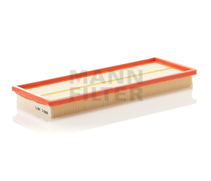 MANN-FILTER C 3873: Filtru aer