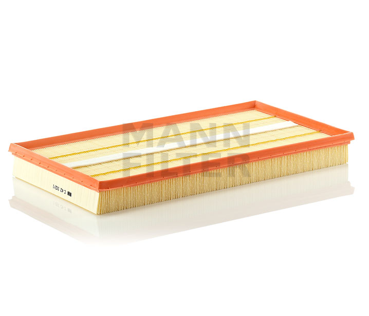MANN-FILTER C 42 192/1: Gaisa filtrs