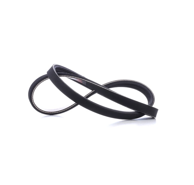 MASTER-SPORT 3PK750-PCS-MS: Correa trapecial poli V 750mm, Número de nervaduras: 3