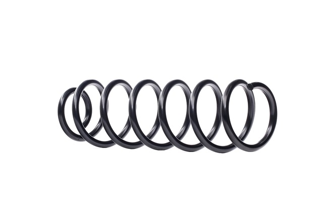 LESJÖFORS 4272957 Balstiekārtas atspere RENAULT SCENIC 3 (JZ0/1) 131 ZS Benzīns cena