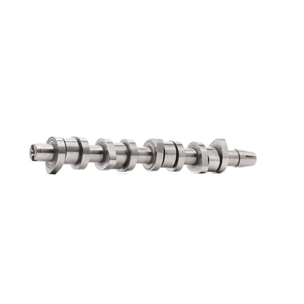 INA 428 0159 10 Albero a camme VOLKSWAGEN Golf 5 (1K5) 105 CV Diesel costo
