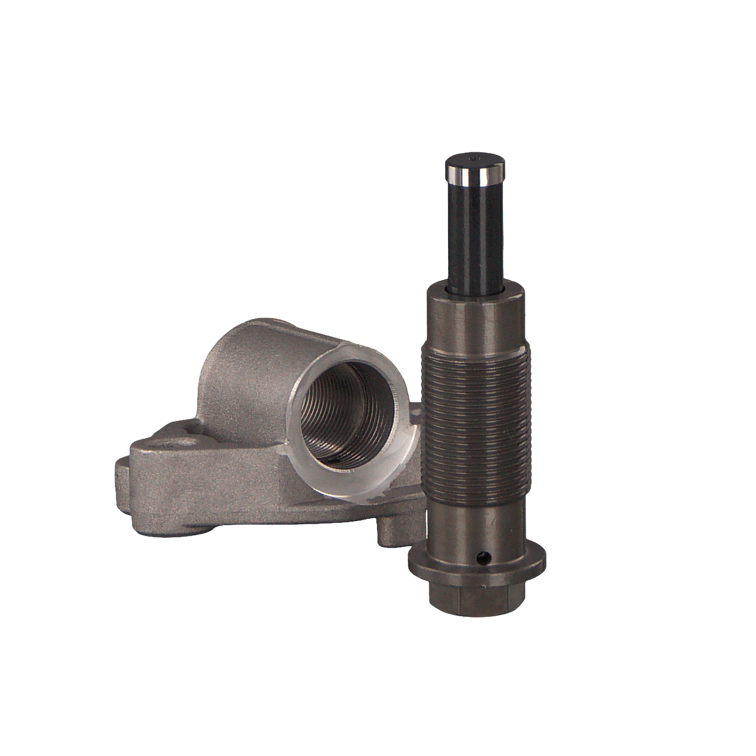 FEBI BILSTEIN 48307: Intinzator, lant distributie cu material de atașare/fixare