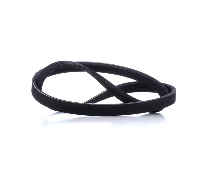 MASTER-SPORT 4PK856-PCS-MS: Correa trapecial poli V 856mm, Número de nervaduras: 4