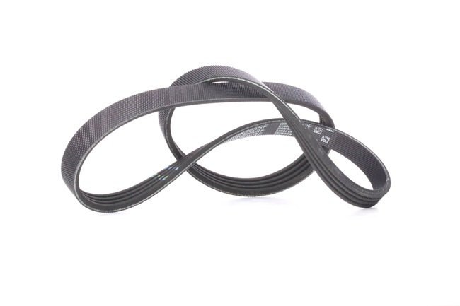 GATES 4PK865SF: Correa trapecial poli V 865mm, Número de nervaduras: 4, G-Force™