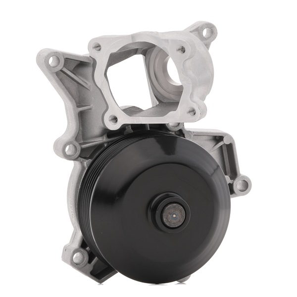 VALEO 506002: Wasserpumpe mit Dichtungen, ohne Deckel