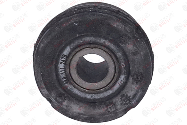 BIRTH 51075: Lagerung, Lenker Hinterachse beidseitig, Hinterachse