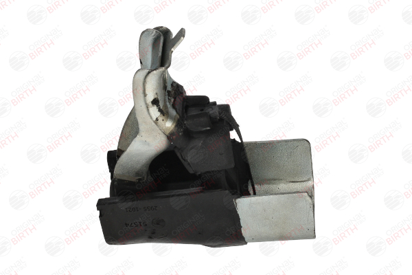 BIRTH 51574 Tampone paracolpo, Silenziatore RENAULT MODUS / GRAND MODUS (F/JP0_) 75 CV Benzina costo