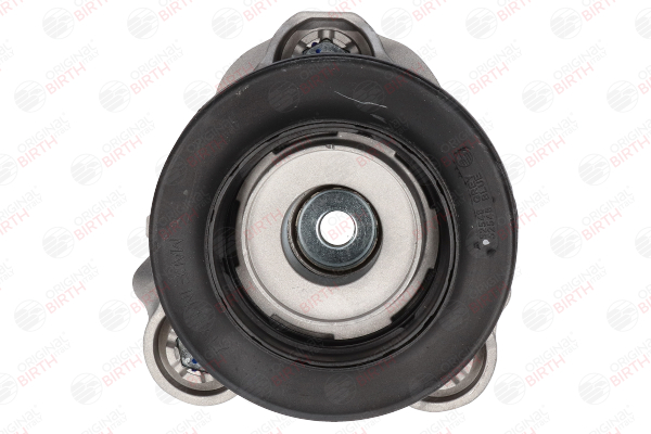 BIRTH 52548 Veerpootlager FIAT Ducato Flatbed Vrachtwagen / Chassis (250_, 290_) 179 Pk Diesel kosten