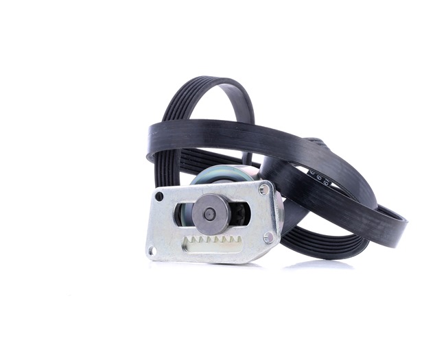 INA 529 0216 10 Σετ ιμάντων poly-V CITROЁN Berlingo / Berlingo First (MF, GJK, GFK) 75 PS Βενζίνη κόστος