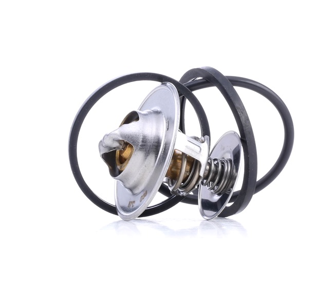 FAE 5307087: Termostat, lichid racire 87°C, cu garnituri