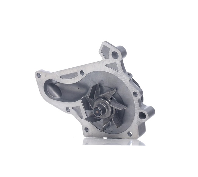 INA 538 0117 10 Waterpomp TOYOTA PREVIA (MCR3_, ACR3_, CLR3_) 128 Pk Benzine kosten