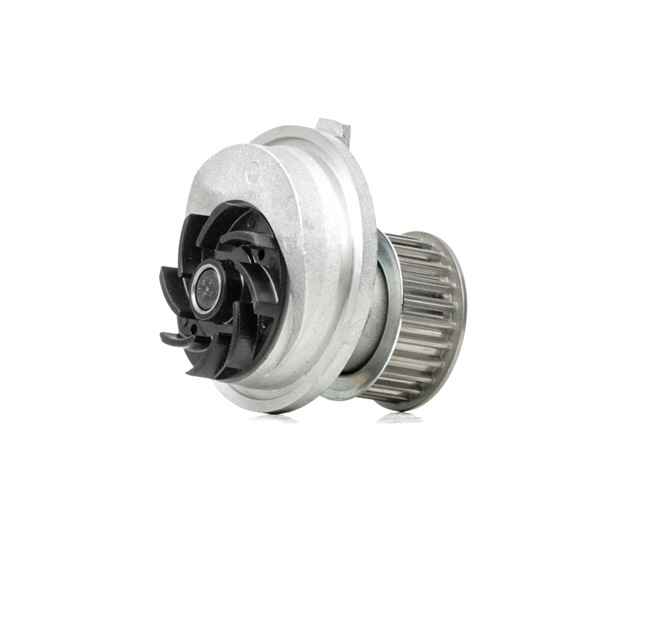 INA 538 0131 10 Waterpomp OPEL Astra G CC (T98) 192 Pk Benzine kosten