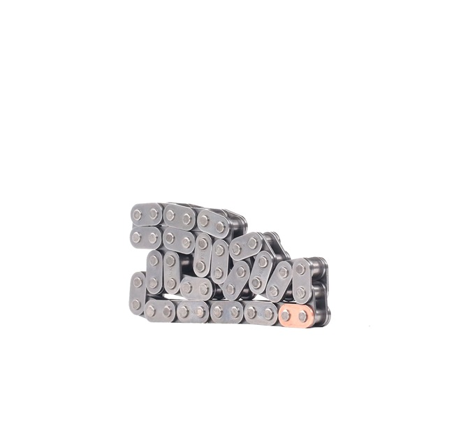 INA 553 0209 10 Steuerkette AUDI A4 Cabrio (8H7, B6, 8HE, B7) 2.0 TFSI 16V 200 PS Benzin