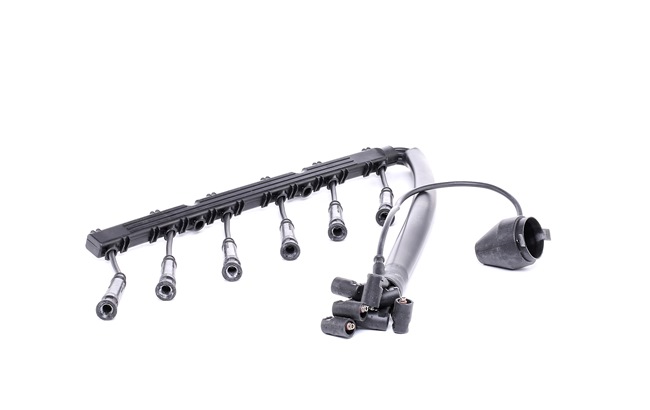 BERU ZE738: Augstsprieguma vadu komplekts 775mm