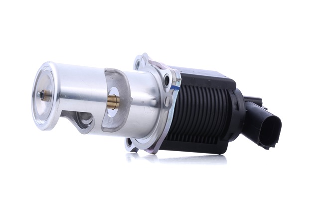 MAGNETI MARELLI 571822112009 EGR klep RENAULT MODUS / GRAND MODUS (F/JP0_) 65 Pk Diesel kosten
